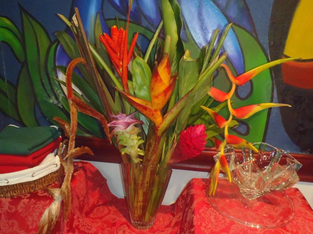 Casa Lima B&B San José Buitenkant foto