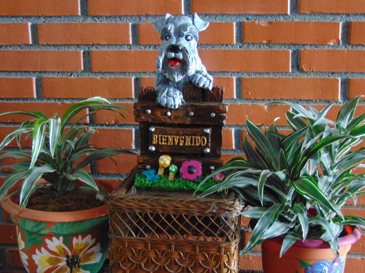 Casa Lima B&B San José Buitenkant foto