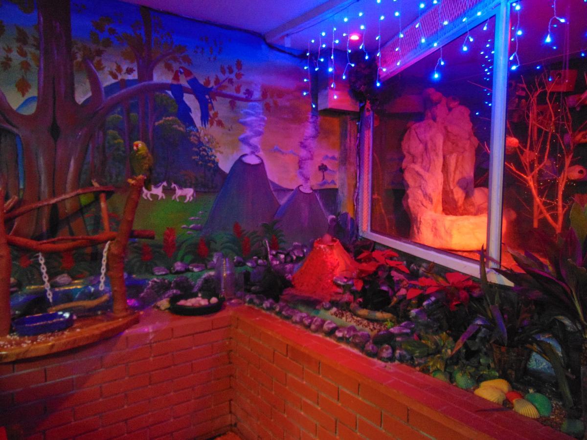 Casa Lima B&B San José Buitenkant foto